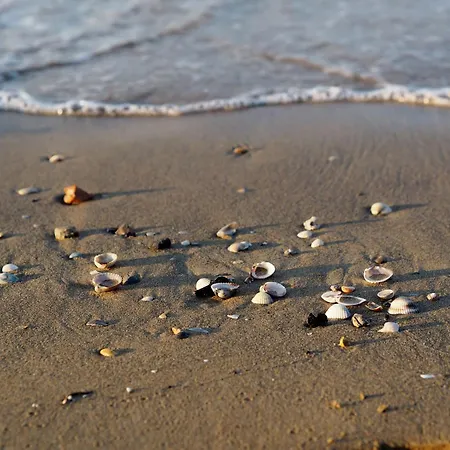 Intimate Seaside Perfect For Relaxing